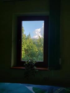 a window in a bedroom looking out at a tree at Cabană cu teren de tenis in Băniţa