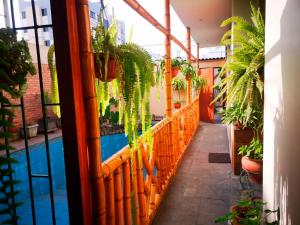 a balcony with plants and a swimming pool at Casa Amarello in Lima