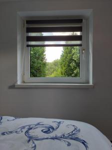 um quarto com uma janela com um edredão azul e branco em Cabană cu teren de tenis -- parter em Băniţa