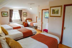 Voodi või voodid majutusasutuse Rockfield Manor B&B, Knock toas