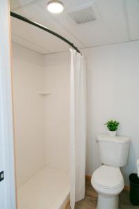 a bathroom with a toilet and a shower at LOGE Wolf Creek in South Fork