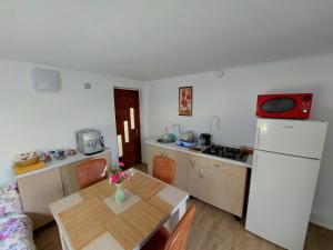Băniţa的住宿－Căbănuță cu teren de tenis，一间带桌子和冰箱的小厨房