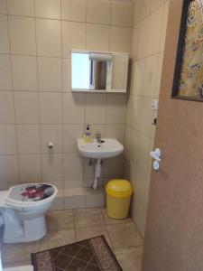 uma casa de banho com um WC e um lavatório em Gościniec IBIS em Czarna Wieś