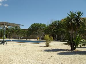a swimming pool with a palm tree in a yard at House No 02 median in Humilladero