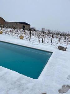 una piscina cubierta de nieve con vides cubiertas de nieve en Casa full equipada (villa seca) en Tunuyán