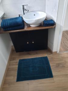 ein Badezimmer mit einem Waschbecken und einem Badezimmerteppich in der Unterkunft Grand appartement, lumineux in Miniac-Morvan