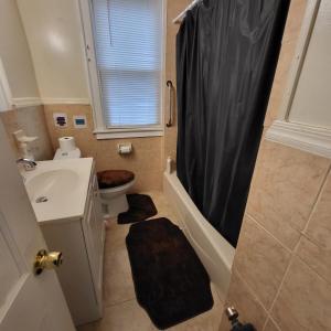 ein Bad mit einem Waschbecken, einem WC und einer Dusche in der Unterkunft Z & Z Apartment in Newark