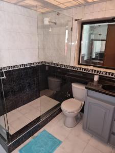 a bathroom with a shower and a toilet and a sink at Casa Estación Modelia, near to the airport. in Bogotá