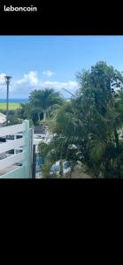une clôture blanche et des palmiers sur une plage dans l'établissement Cœur Caraïbe, à Rivière-Salée