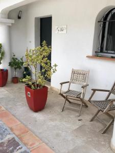 a pair of chairs and a potted plant on a patio at Maxima Sunset in Sainte-Maxime