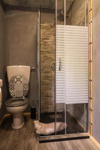 uma casa de banho com um WC e uma cabina de duche em vidro. em Il Nido em Sestola