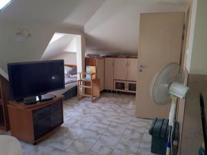 ein Wohnzimmer mit einem Flachbild-TV und einem Ventilator in der Unterkunft Activity Apartman in Harkány