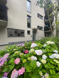 a pile of flowers in front of a building at Central Park Apartment in Cluj-Napoca