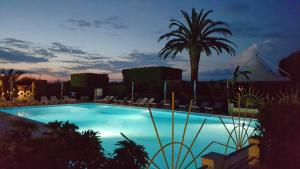 a large swimming pool with a palm tree and chairs at Residence Hotel Felix in Ricadi