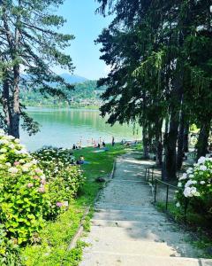 Un camino junto a un lago con gente sentada en la hierba en JACAM home free parking, en Albese Con Cassano