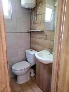 małą łazienkę z toaletą i umywalką w obiekcie Domek Drewniany w Dolinie Symsarny w Lidzbarku Warmińskim