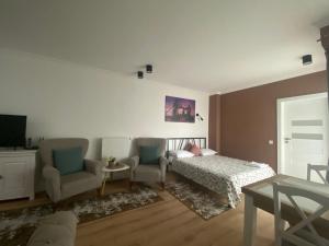 a bedroom with a bed and two chairs and a tv at Central Park Apartment in Cluj-Napoca