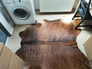 um tapete castanho no chão ao lado de uma máquina de lavar roupa em Eagles Nest em Berlim