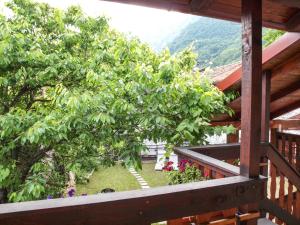 a view from the balcony of a house with a tree at Apartments Hemingway House in Kobarid