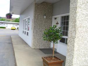 Foto Vernonis asuva majutusasutuse Schell Motel Express galeriist