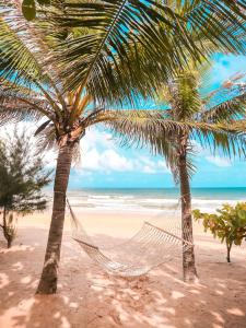 - deux palmiers avec un hamac sur une plage dans l'établissement The Westin Sanya Haitang Bay Resort, à Sanya