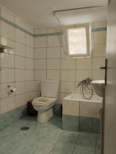 uma casa de banho com um WC e um lavatório em Ήσυχο σπίτι στο Μικρολίμανο em Piraeus