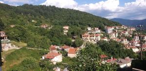 a town on a hill with houses and trees at Το Σπίτι της Ευτυχίας Σουίτα in Karpenisi