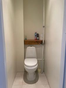 a bathroom with a toilet with a wooden shelf above it at Külaliskorter Tõrva linnas in Tõrva