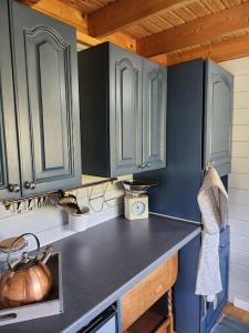 Lapworth的住宿－The Meadow，厨房配有蓝色橱柜和茶壶