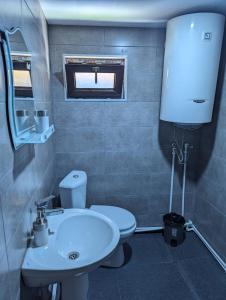 uma casa de banho com um lavatório branco e um WC. em Doxturi's sakhli em Shatili