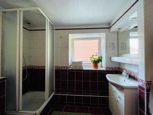 een badkamer met een douche en een wastafel bij Mikalo House in Vilnius