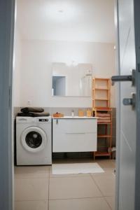 a bathroom with a washing machine and a sink at Spacieux Appart T3+terrasse in Aix-les-Bains