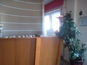 a room with a desk with a plant and a window at Hotel Souita in Paralia Katerinis