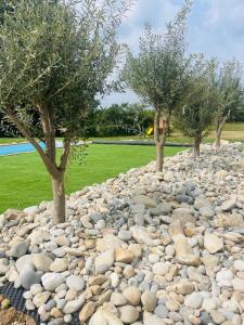 three trees in a rocky field with trees at Logement A / Clos des Saunières in Bligny-lès-Beaune