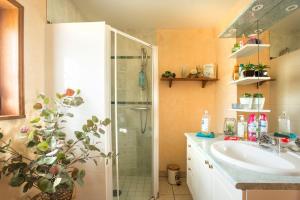 un bagno con doccia e lavandino di La Maison du Bonheur a Saint-Martin-en-Bresse Altre 21 foto