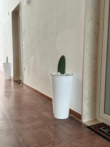 een plant in een witte pot zittend in een hal bij Affittacamere Pagano P.Cesareo in Porto Cesareo