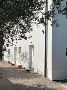 a white building with plants on the side of it at Apartmani Stellar in Malinska