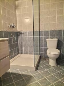 a bathroom with a toilet and a glass shower at Bonito y acogedor apartamento en Castropol in Castropol