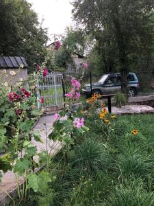 Giardino di Seti Tower Guest House