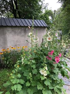 Giardino di Seti Tower Guest House