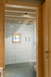 uma casa de banho com um chuveiro e um WC. em Agriturismo Locanda Case Vecie em Grezzana