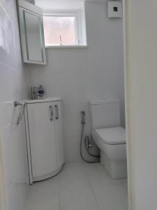 Gallery image of Beautiful House in Ruislip in Northwood