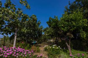 A garden outside Appartamenti Torre