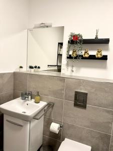a bathroom with a sink and a toilet and a mirror at Wohlfühloase im hippen Leipziger Osten in Leipzig