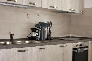 a kitchen with a sink and a counter top at Villa Alta in Strigno
