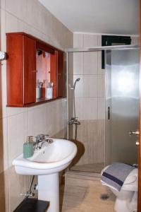 a bathroom with a sink and a shower and a toilet at Serenity Stone House, a Blissful Retreat in Petrokefalo