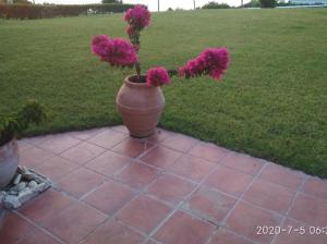 A garden outside Yades elegant villa 2 minutes away from the beach