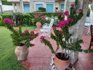 A garden outside Yades elegant villa 2 minutes away from the beach