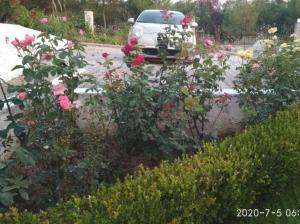 A garden outside Yades elegant villa 2 minutes away from the beach