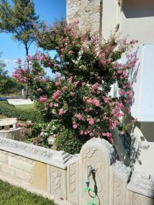 A garden outside Yades elegant villa 2 minutes away from the beach